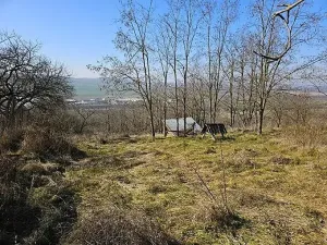 Prodej sadu/vinice, Velké Němčice, 3259 m2