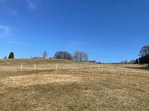 Prodej rodinného domu, Jeseník, Rejvízská, 180 m2