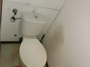 Prodej bytu 1+1, Ostrov, Kollárova, 36 m2