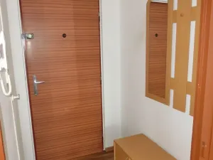 Prodej bytu 1+1, Ostrov, Kollárova, 36 m2