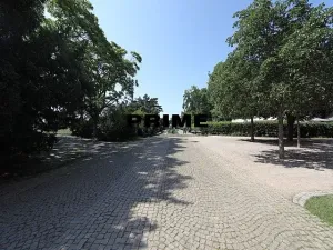 Pronájem bytu 4+1, Praha - Vinohrady, Anny Letenské, 160 m2