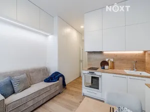 Prodej bytu 1+kk, Praha - Vysočany, Kolmá, 18 m2