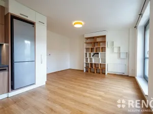 Pronájem bytu 3+kk, Brno, náměstí Republiky, 60 m2