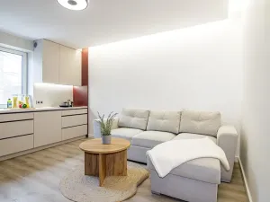 Pronájem bytu 2+kk, Ostrava, Čujkovova, 29 m2