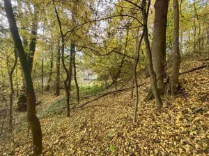 Dražba pozemku, Svijany, 2639 m2