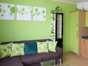 Pronájem bytu 2+kk, Brno, Netušilova, 42 m2