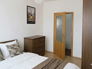 Pronájem bytu 2+kk, Brno, Netušilova, 42 m2