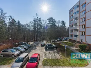 Prodej bytu 2+1, Orlová, 1. máje, 44 m2