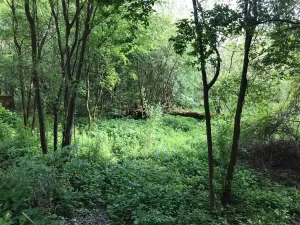 Prodej pozemku, Studénka, 9849 m2