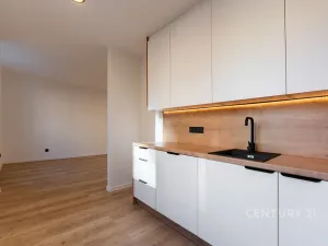 Pronájem bytu 2+kk, Most, Maxe Švabinského, 54 m2