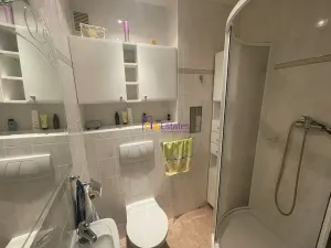 Pronájem bytu 3+1, Praha - Smíchov, Nad Palatou, 109 m2