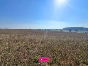 Prodej pozemku pro bydlení, Podomí, 25000 m2