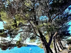 Prodej komerčního pozemku, Stara Novalja, Chorvatsko, 561 m2