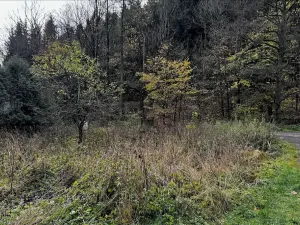 Prodej pozemku pro bydlení, Kounov, 1286 m2