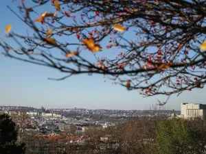 Prodej bytu 3+kk, Praha - Žižkov, Jana Želivského, 77 m2