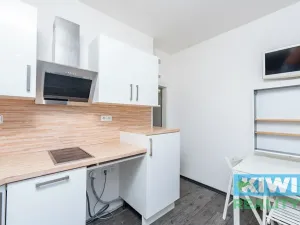 Pronájem bytu 2+1, Ostrava, Františka Hajdy, 50 m2