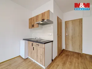 Pronájem bytu 1+kk, Mariánské Lázně, Hlavní třída, 20 m2