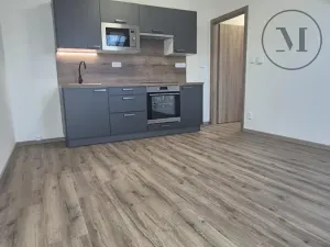 Pronájem bytu 2+kk, České Budějovice, Novohradská, 42 m2