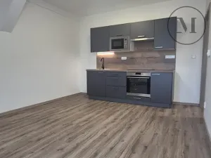Pronájem bytu 2+kk, České Budějovice, Novohradská, 42 m2