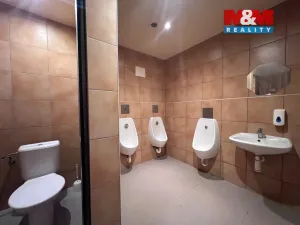 Pronájem obchodního prostoru, Prostějov, 210 m2