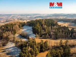 Prodej lesa, Nišovice, 7155 m2