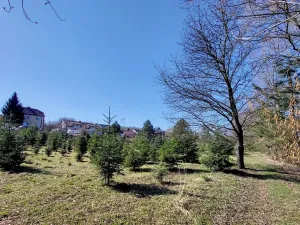 Prodej pozemku pro bydlení, Popůvky, 971 m2