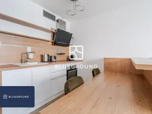 Pronájem bytu 1+kk, Praha - Žižkov, Olšanská, 35 m2