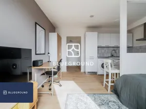 Pronájem bytu 1+kk, Praha - Vinohrady, Perucká, 27 m2