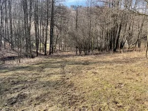 Prodej chalupy, Jeseník, Rejvízská, 180 m2