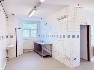 Pronájem restaurace, Mirošovice, Hlavní, 187 m2