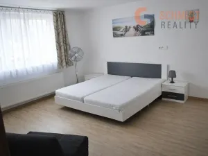 Pronájem rodinného domu, Mikulov, Vinohrady, 320 m2