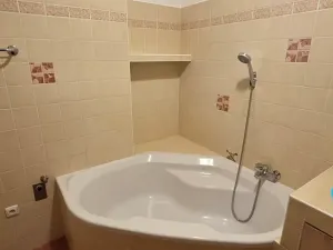 Pronájem bytu 3+1, Prostějov, Boženy Němcové, 79 m2