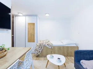 Pronájem bytu 1+kk, Zlín, Vejvanovská, 20 m2