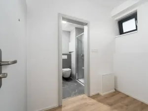 Pronájem bytu 1+kk, České Budějovice, Štítného, 27 m2