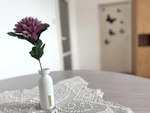 Pronájem bytu 3+1, Brno - Staré Brno, Poříčí, 81 m2