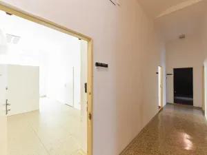 Prodej činžovního domu, Praha - Žižkov, Vlkova, 457 m2