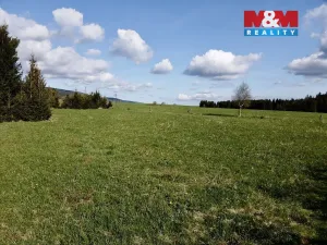 Prodej pozemku pro bydlení, Orlické Záhoří, 1517 m2