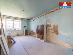 Prodej rodinného domu, Kosov, 250 m2