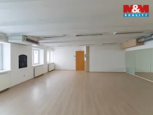 Prodej obchodního prostoru, Prostějov, Šafaříkova, 305 m2
