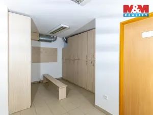 Prodej obchodního prostoru, Prostějov, Šafaříkova, 305 m2