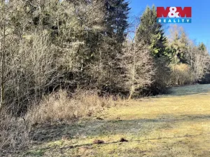 Prodej lesa, Dolní Dobrouč - Lanšperk, 4113 m2