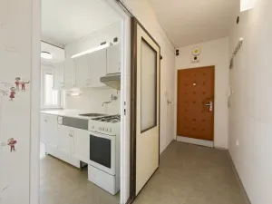 Prodej bytu 2+1, Blansko, Salmova, 56 m2