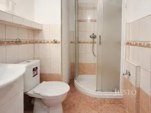 Prodej bytu 1+1, Písek, třída Přátelství, 38 m2