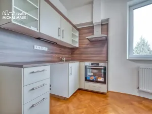 Pronájem bytu 1+1, Hranice, Kropáčova, 58 m2