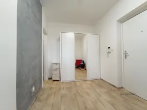 Pronájem bytu 1+kk, Plzeň - Jižní Předměstí, Rybářská, 49 m2