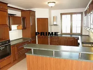 Pronájem rodinného domu, Praha - Nebušice, Druhého odboje, 390 m2