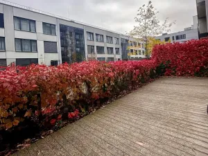 Prodej bytu 3+kk, Praha - Smíchov, Grafická, 95 m2