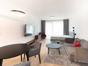 Pronájem bytu 1+kk, Praha - Žižkov, Jana Želivského, 39 m2