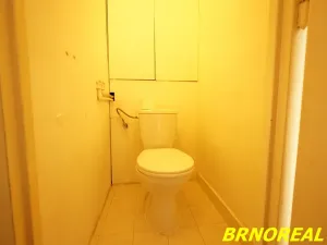 Pronájem bytu 2+1, Brno, Jílová, 55 m2