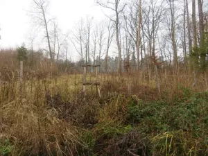 Dražba lesa, Zlín, 707167 m2